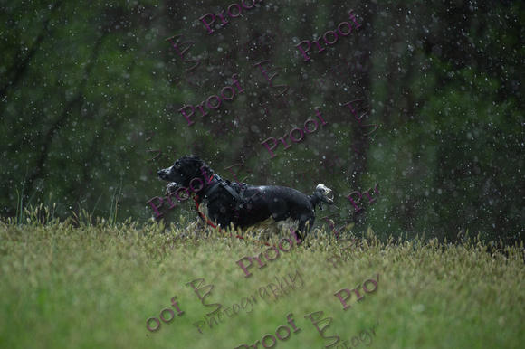 ReedsRescuebyBSPhotography-2727