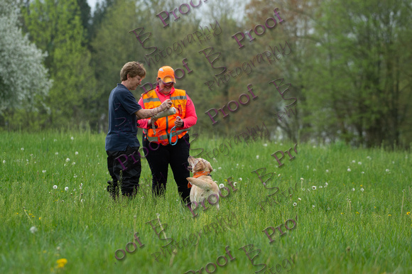 ReedsRescuebyBSPhotography-0930