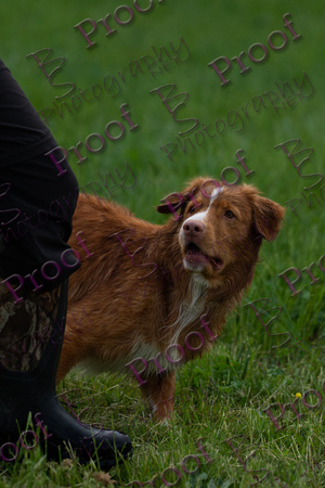 ReedsRescuebyBSPhotography-2969