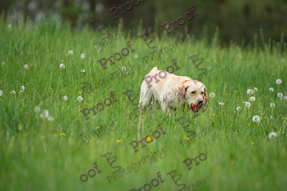 ReedsRescuebyBSPhotography-0847