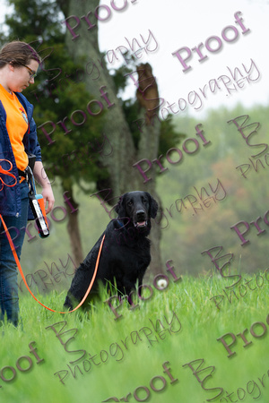 ReedsRescuebyBSPhotography-9848