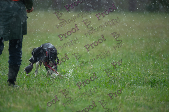 ReedsRescuebyBSPhotography-2709