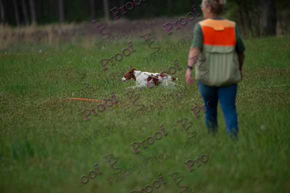 ReedsRescuebyBSPhotography-2321
