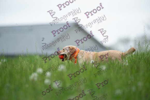 ReedsRescuebyBSPhotography-0999
