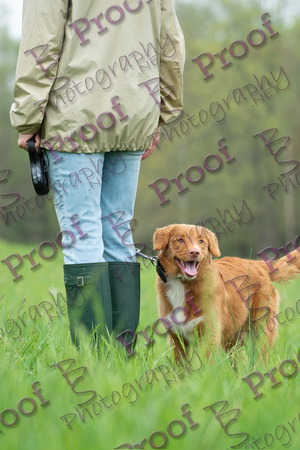 ReedsRescuebyBSPhotography-9860