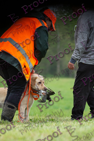 ReedsRescuebyBSPhotography-9844