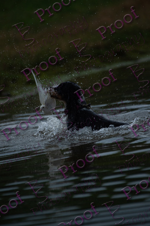 ReedsRescuebyBSPhotography-2486