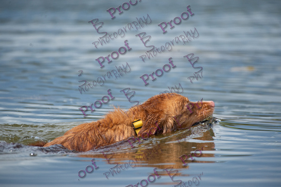 ReedsRescuebyBSPhotography-2839