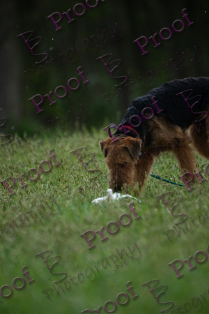 ReedsRescuebyBSPhotography-2527
