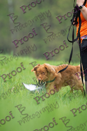 ReedsRescuebyBSPhotography-9885