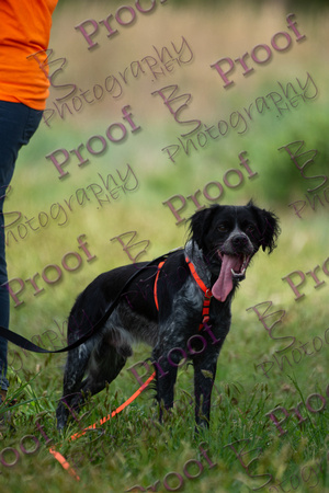 ReedsRescuebyBSPhotography-2201