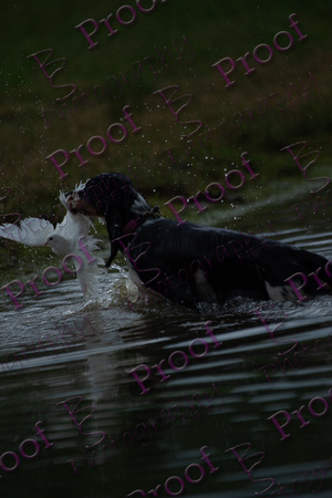 ReedsRescuebyBSPhotography-2492