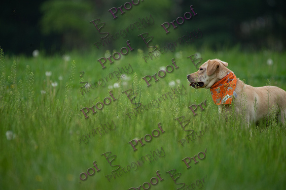 ReedsRescuebyBSPhotography-0908