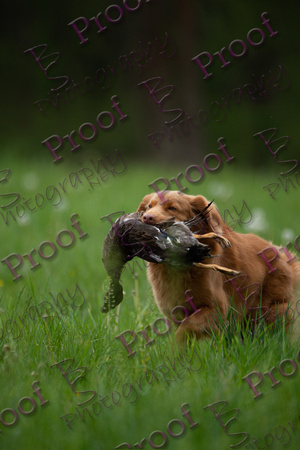 ReedsRescuebyBSPhotography-1573