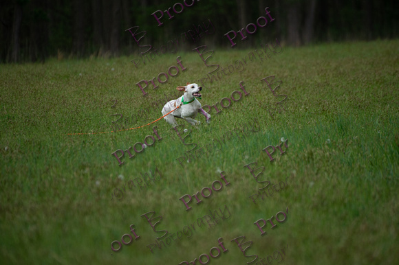 ReedsRescuebyBSPhotography-2304