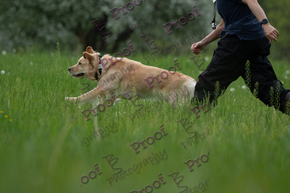 ReedsRescuebyBSPhotography-1209