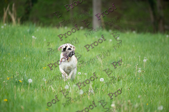 ReedsRescuebyBSPhotography-0386