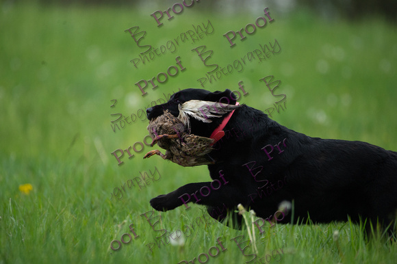 ReedsRescuebyBSPhotography-0787