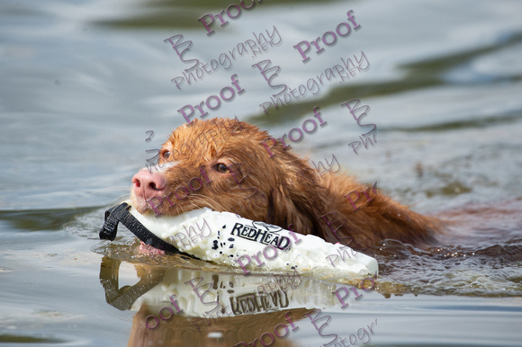 ReedsRescuebyBSPhotography-2861