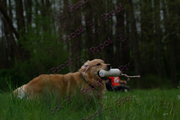 ReedsRescuebyBSPhotography-0604