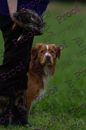 ReedsRescuebyBSPhotography-2900