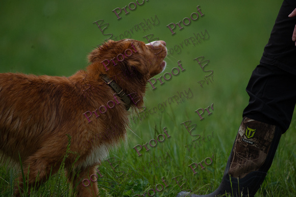 ReedsRescuebyBSPhotography-2927