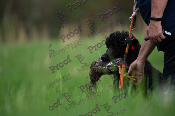 ReedsRescuebyBSPhotography-0245