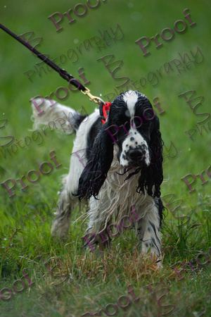ReedsRescuebyBSPhotography-2570