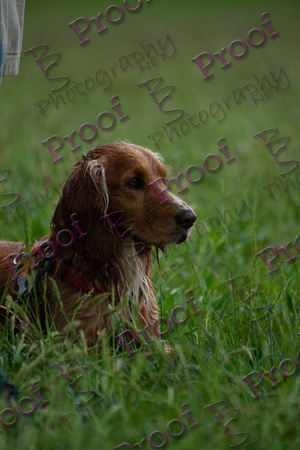 ReedsRescuebyBSPhotography-2514