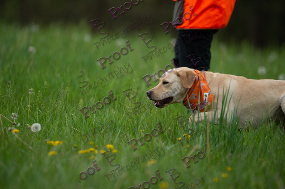 ReedsRescuebyBSPhotography-0878