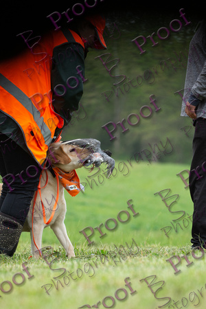 ReedsRescuebyBSPhotography-9842