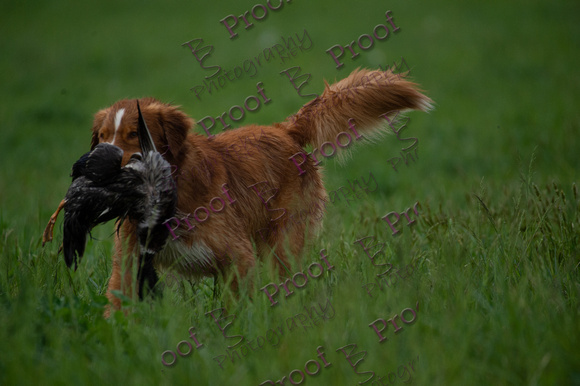 ReedsRescuebyBSPhotography-2932