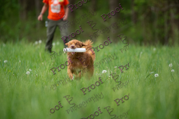 ReedsRescuebyBSPhotography-1048