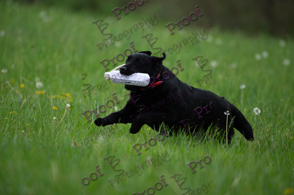 ReedsRescuebyBSPhotography-0734