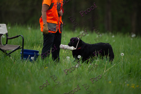 ReedsRescuebyBSPhotography-0725
