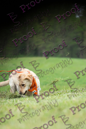 ReedsRescuebyBSPhotography-9802