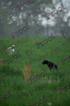 ReedsRescuebyBSPhotography-2438