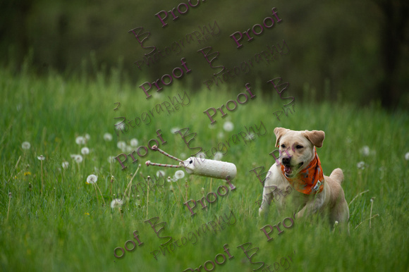 ReedsRescuebyBSPhotography-0925