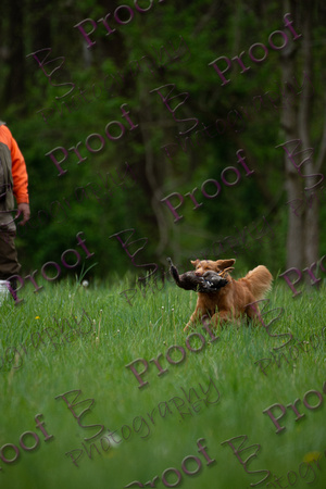 ReedsRescuebyBSPhotography-1538