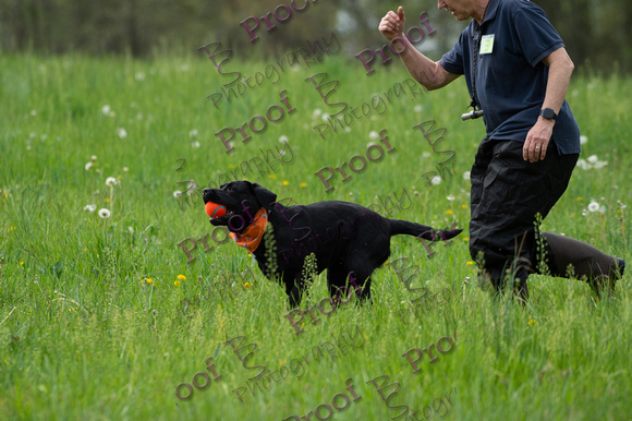 ReedsRescuebyBSPhotography-1317