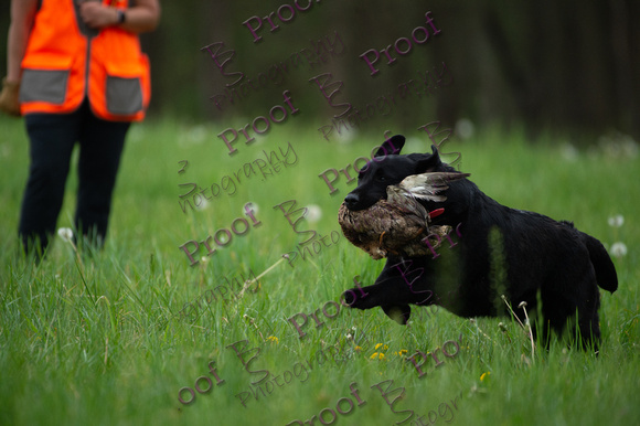 ReedsRescuebyBSPhotography-0778