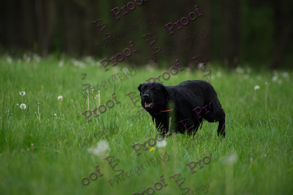 ReedsRescuebyBSPhotography-0731