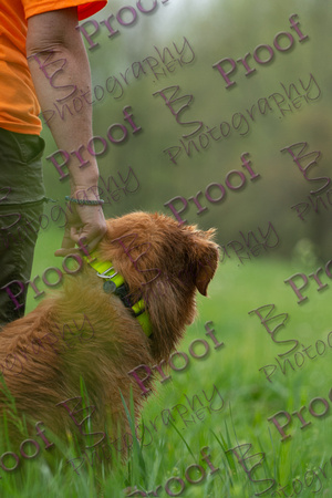 ReedsRescuebyBSPhotography-1011