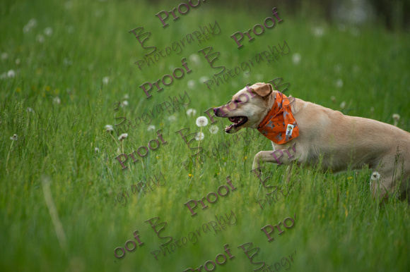 ReedsRescuebyBSPhotography-0924