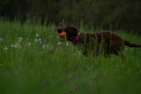 ReedsRescuebyBSPhotography-0656