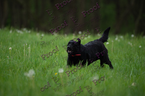ReedsRescuebyBSPhotography-0730