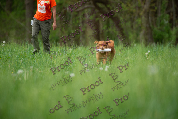 ReedsRescuebyBSPhotography-1031