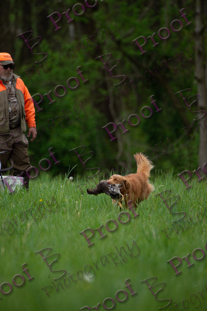 ReedsRescuebyBSPhotography-1540