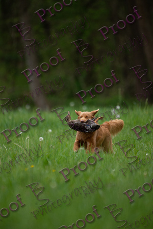 ReedsRescuebyBSPhotography-1553