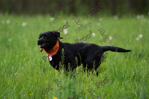 ReedsRescuebyBSPhotography-1306